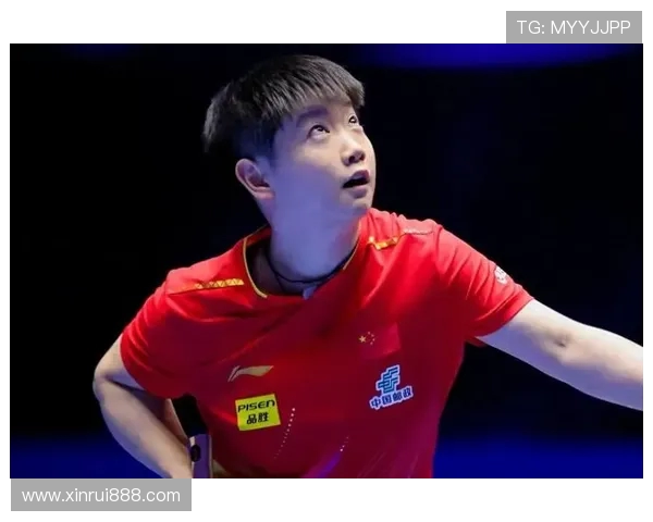 深圳乒乓球队在世界杯中的精彩表现与节奏掌控分析 深圳乒乓球队在世界杯中的精彩表现与节奏掌控分析