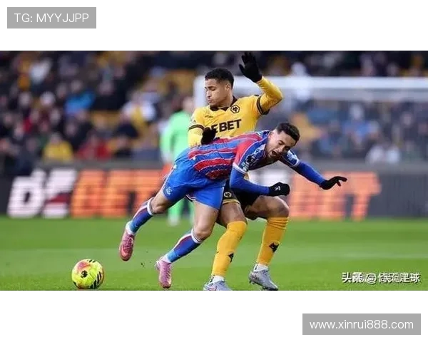 布莱顿与狼队英超对决前瞻分析及比赛预测 布莱顿与狼队英超对决前瞻分析及比赛预测