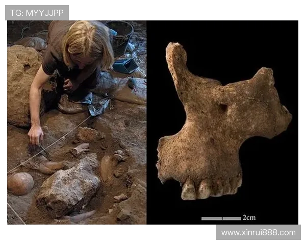 探索奥蓬达的魅力与秘密揭示其在文化与历史中的独特地位 探索奥蓬达的魅力与秘密揭示其在文化与历史中的独特地位