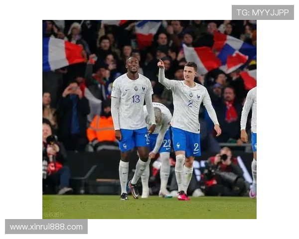法国队与爱尔兰足球对决精彩回顾与赛后分析